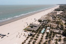 Primesurf Safari Brasil Prea